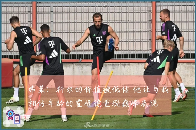 弗莱：科尔的价值被低估 他让与我相仿年龄的霍福德重现巅峰表现