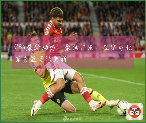 CBA最新动态！聚焦广东、辽宁与北京男篮资讯更新