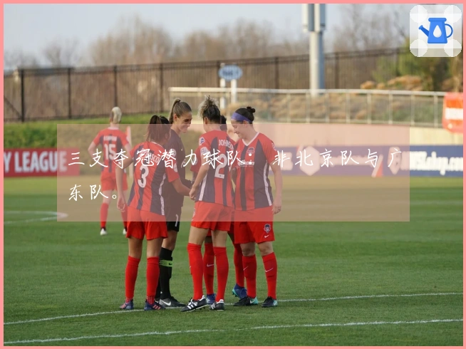 三支夺冠潜力球队：非北京队与广东队。